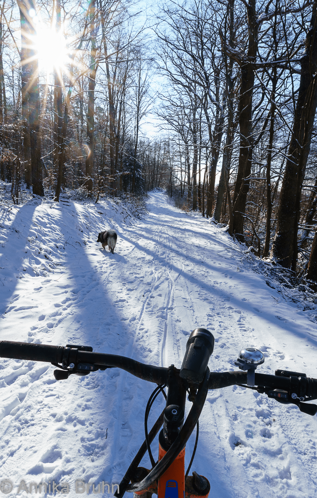 Fahrradtour im Schnee